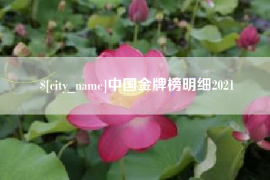广西中国金牌榜明细2021