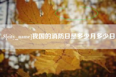广西我国的消防日是多少月多少日