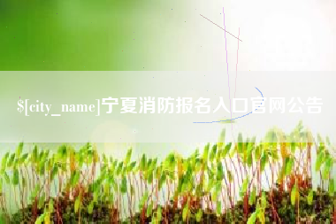 广西宁夏消防报名入口官网公告
