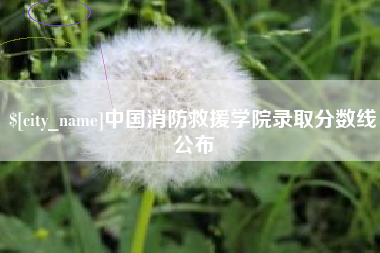 广西中国消防救援学院录取分数线公布