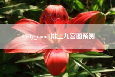 广西排三九宫图预测