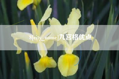 广西九宫格优点