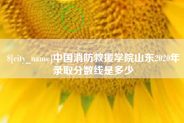 广西中国消防救援学院山东2020年录取分数线是多少