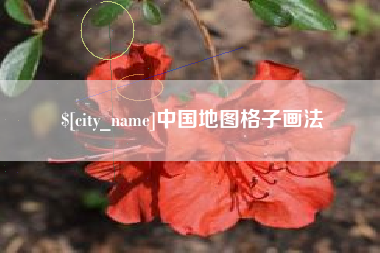 广西中国地图格子画法