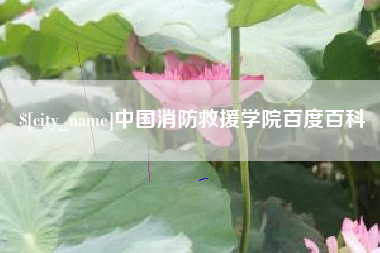 广西中国消防救援学院百度百科