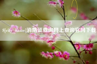 广西消防证查询网上查询官网下载