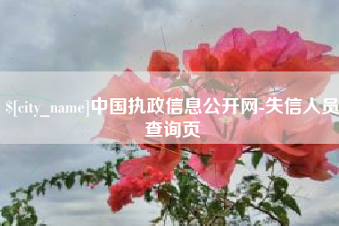广西中国执政信息公开网-失信人员查询页