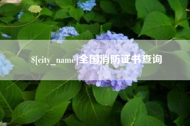 广西全国消防证书查询
