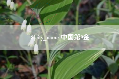 广西中国第9金