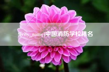 广西中国消防学校排名