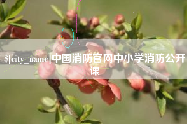 广西中国消防官网中小学消防公开课