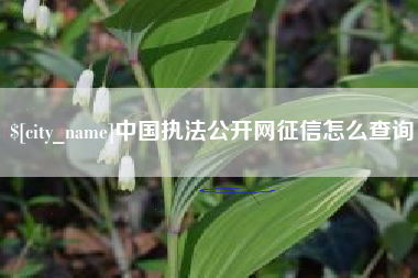 广西中国执法公开网征信怎么查询