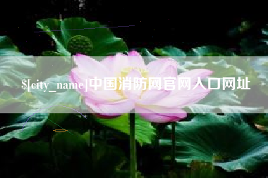 广西中国消防网官网入口网址