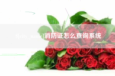 广西消防证怎么查询系统