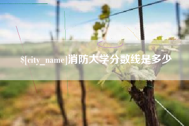 广西消防大学分数线是多少