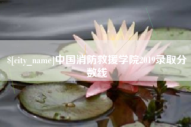 广西中国消防救援学院2019录取分数线