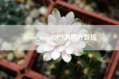 广西2021消防分数线