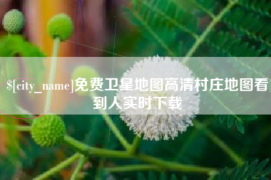 广西免费卫星地图高清村庄地图看到人实时下载