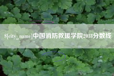 广西中国消防救援学院2018分数线