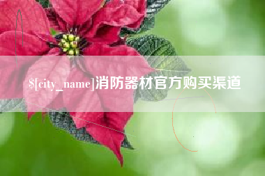 广西消防器材官方购买渠道