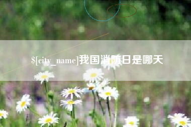 广西我国消防日是哪天