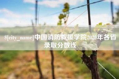 广西中国消防救援学院2020年各省录取分数线