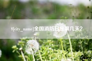 广西全国消防日是第几天？