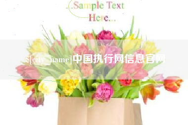 广西中国执行网信息官网