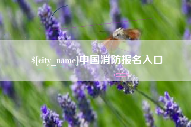 广西中国消防报名入口