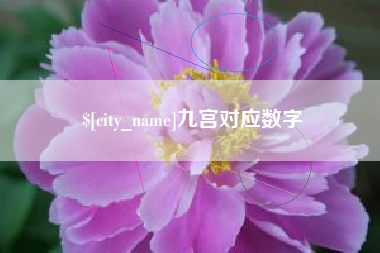广西九宫对应数字