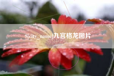 广西九宫格龙图片