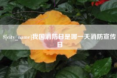 广西我国消防日是哪一天消防宣传日