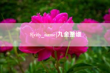 广西九金是谁