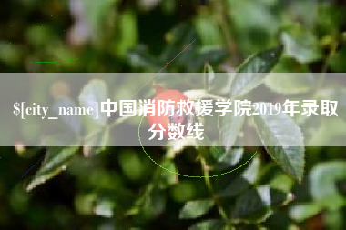 广西中国消防救援学院2019年录取分数线