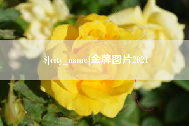 广西金牌图片2021