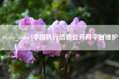 广西中国执行信息公开网平台维护
