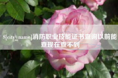 广西消防职业技能证书查询以前能查现在查不到