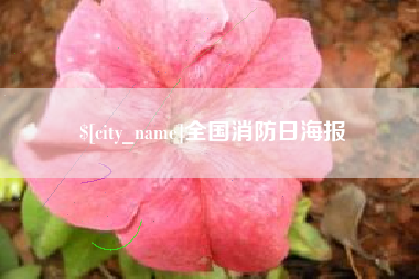 广西全国消防日海报