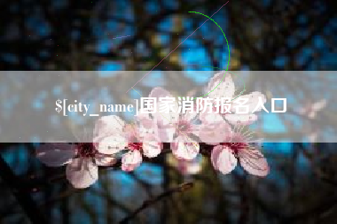 广西国家消防报名入口