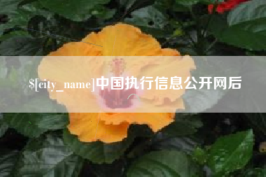 广西中国执行信息公开网后