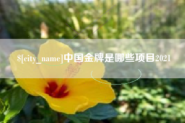 广西中国金牌是哪些项目2021