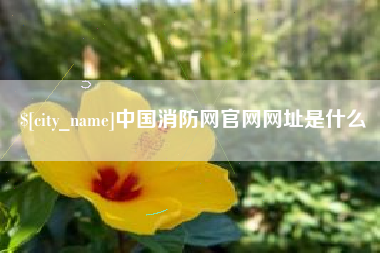 广西中国消防网官网网址是什么