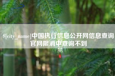 广西中国执行信息公开网信息查询官网限消中查询不到