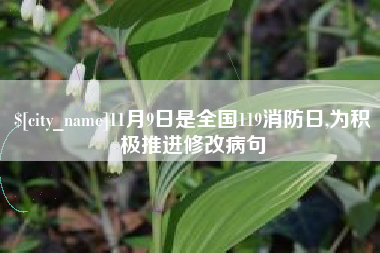 广西11月9日是全国119消防日,为积极推进修改病句