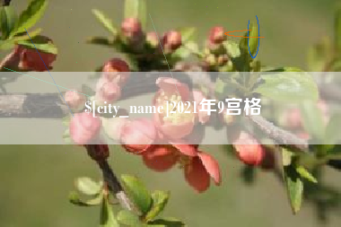 广西2021年9宫格