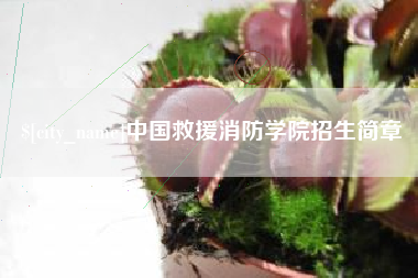 广西中国救援消防学院招生简章