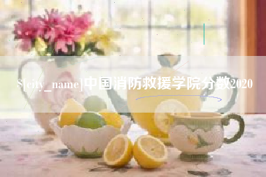 广西中国消防救援学院分数2020