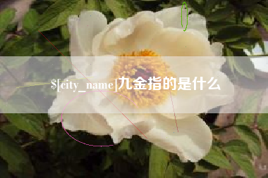 广西九金指的是什么