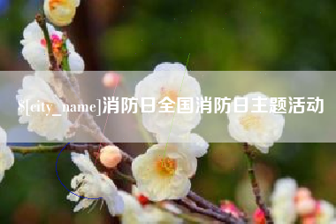 广西消防日全国消防日主题活动