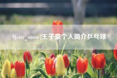 广西王子豪个人简介乒乓球